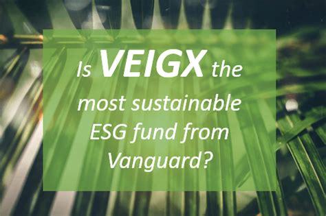Vanguard Global ESG Select Stk Investor (VEIGX) .